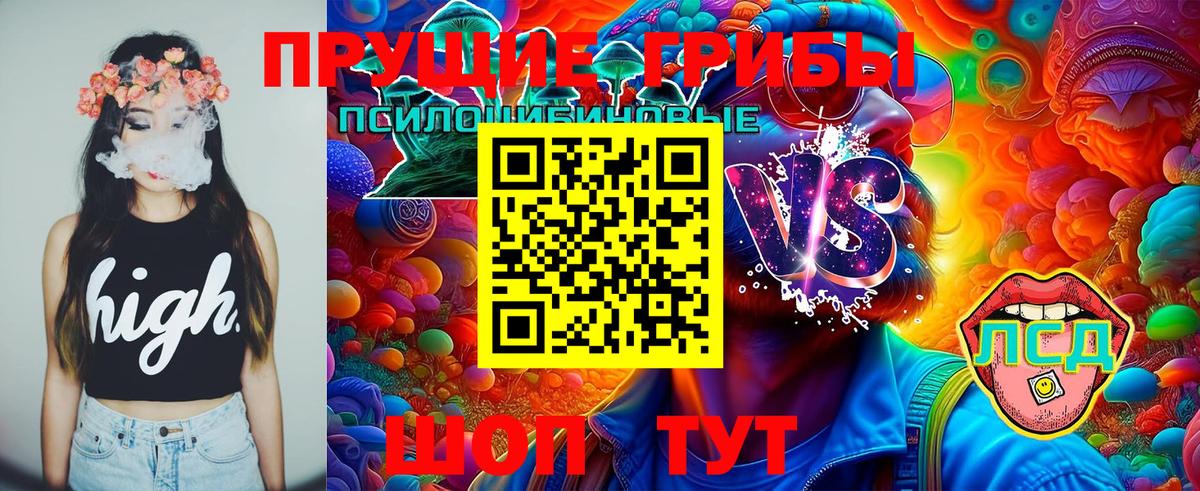 Галлюциногенные грибы GOLDEN TEACHER Санкт-Петербург
